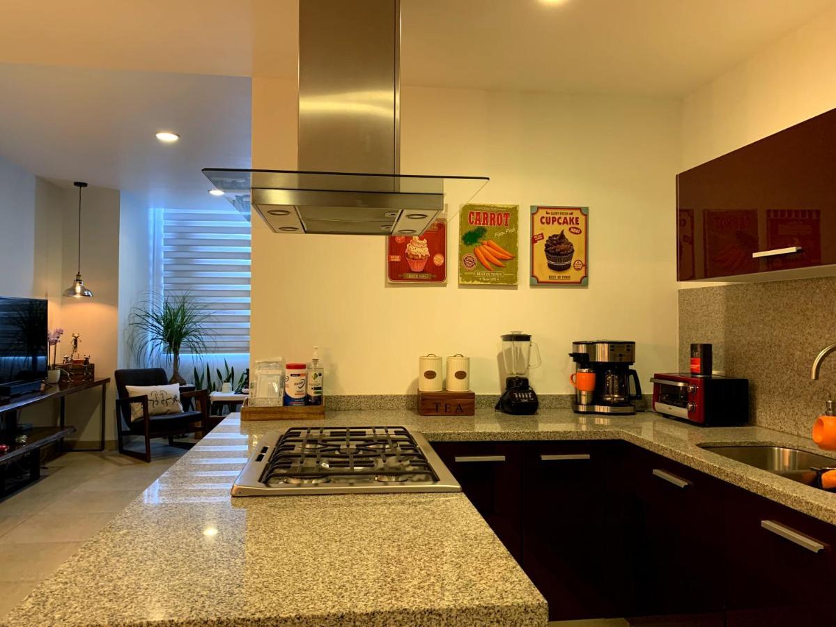 Blue Horse Apartment In New Polanco. Mexico Extérieur photo
